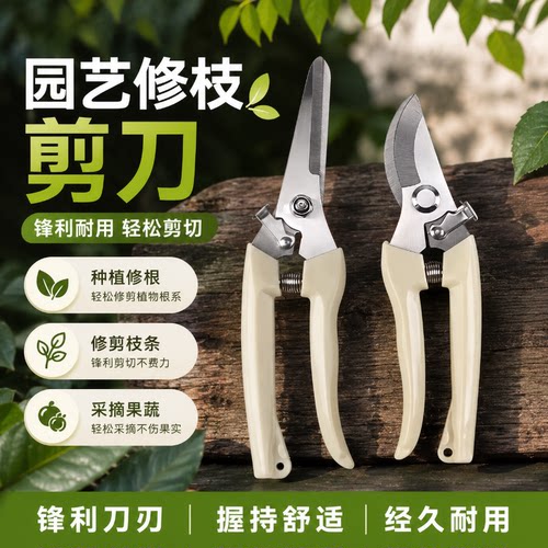 果树修剪树枝摘果专用剪刀