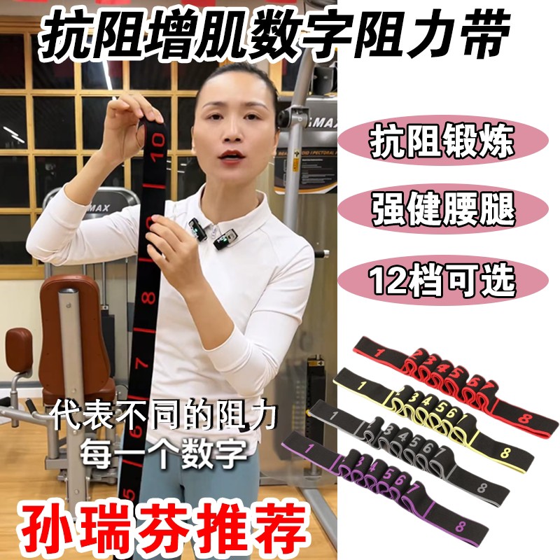 孙瑞芬推荐抗阻增肌数字阻力带弹力带中老年臀大肌腿部力量训练
