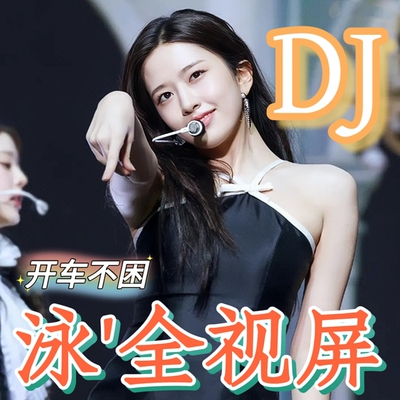 全视频mv车载u盘流行DJ舞曲mp4