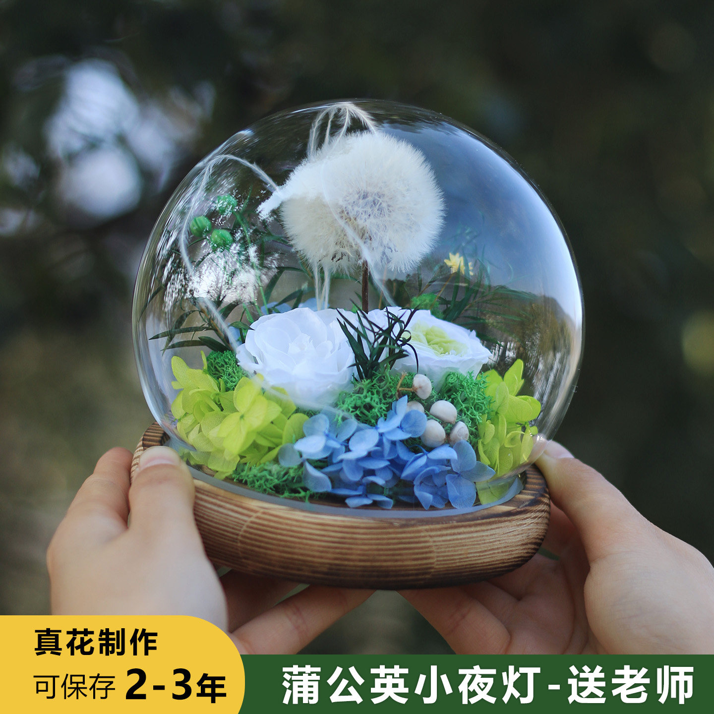 永生花蒲公英高级感摆件LED小夜灯实用型送老师同学闺蜜生日礼物