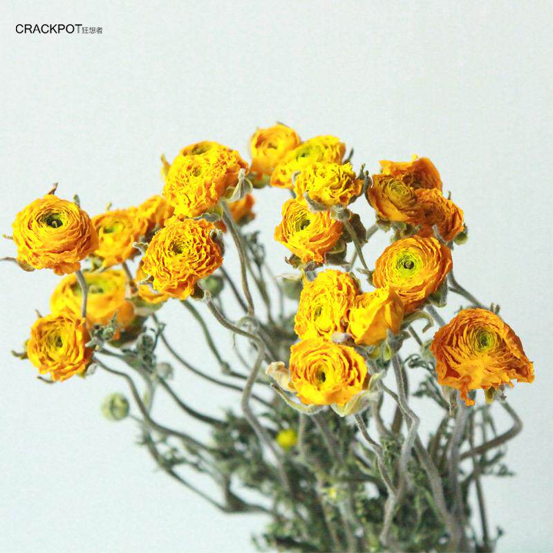 狂想者干花工厂ins北欧风森系mini洋牡丹干花家居装饰花束