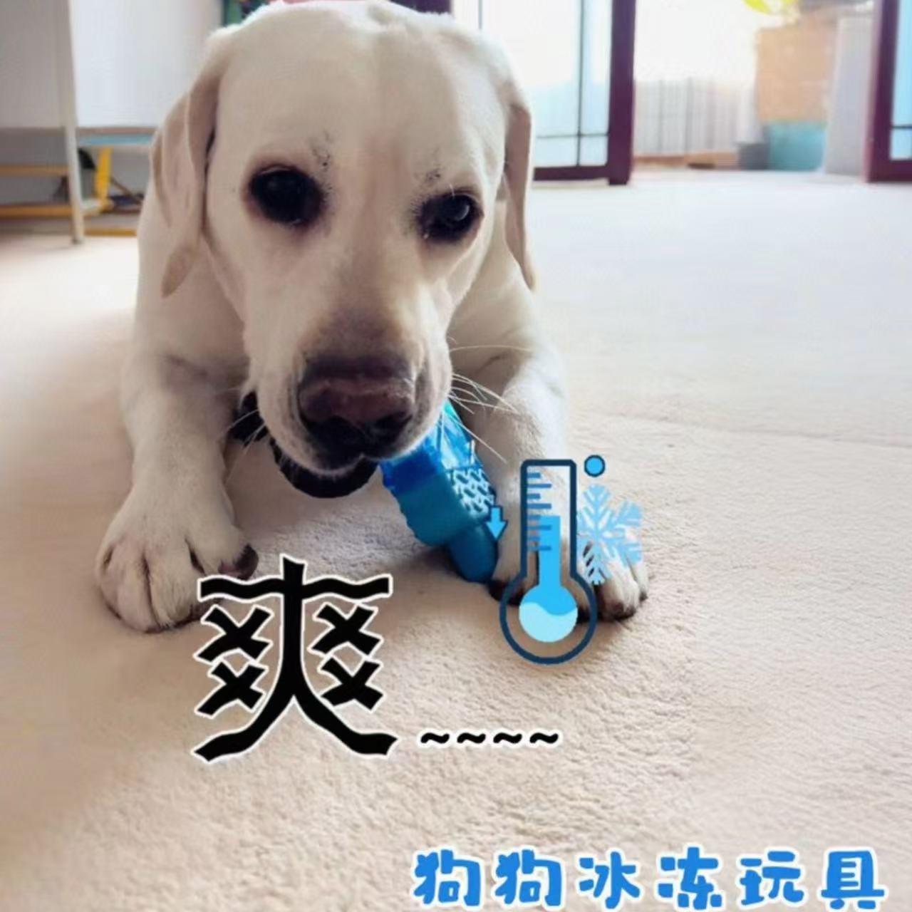 狗狗冰冻玩具解闷磨牙降温注水冰爽棒冰宠物骨头耐咬夏季解暑冰棍