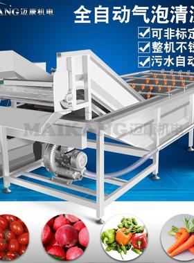 制韭清QP-120洗机 定商用芹菜去清泥洗机 叶类蔬菜自动菜洗菜机