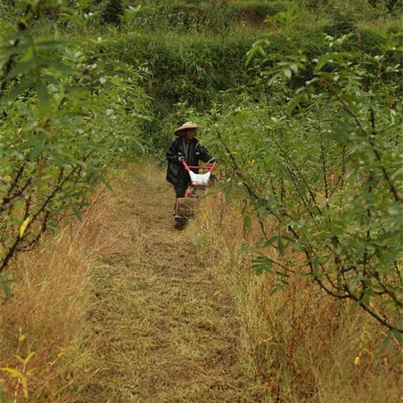 便好用自走式果园除草机 甩0刀轻式碎草力还田MUA机 1马柴油割草