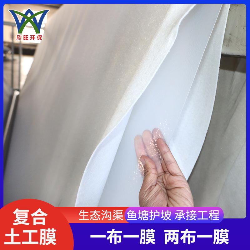 合复合土HDO膜工厂家 加筋防护防渗膜复合 一布一膜两布一膜复土