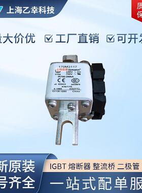 巴斯曼熔断器 170M3263 170M3264 170M3265 170M3266 170M3267