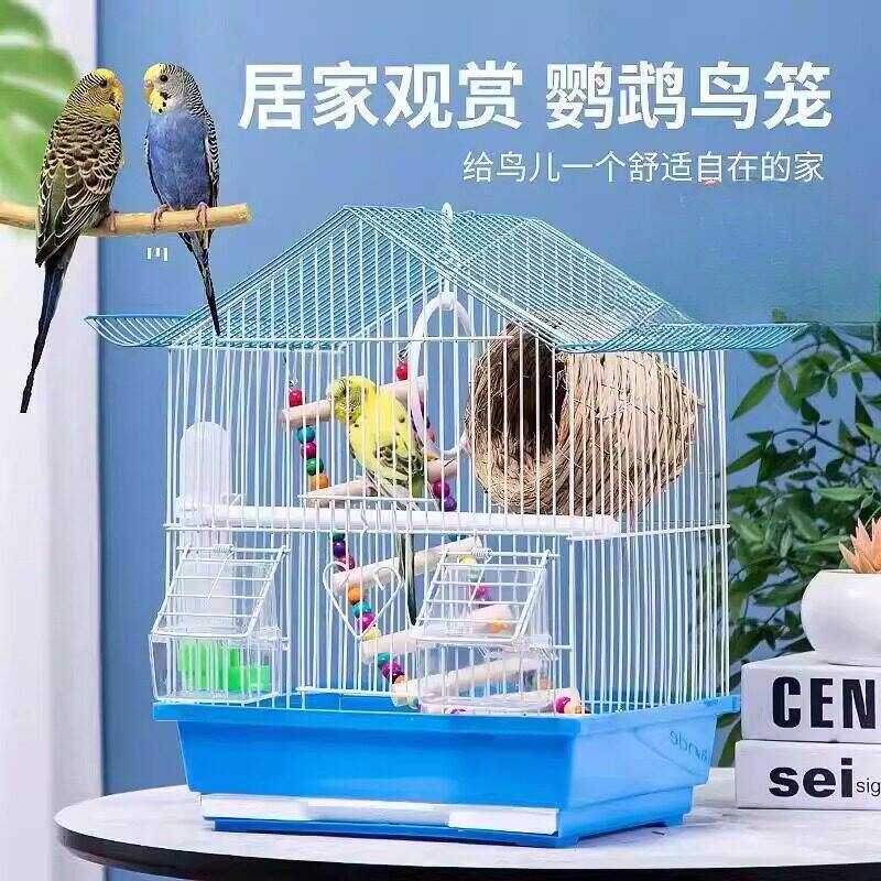 鹦鹉鸟笼新款小型牡丹虎皮绣眼
