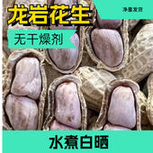 龙岩水煮花生福建龙岩白晒花生蒜香花生五香盐水花生水煮白晒咸干