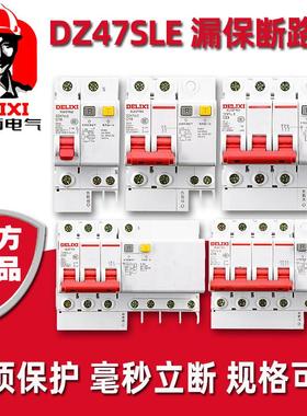 德力西DZ47SLE防火材质漏电保护器家用漏电2P3P4P16A40A63A25A32A