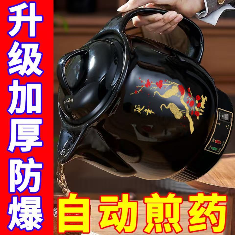 德国全自动煎药壶中医专用中药电煎壶陶瓷熬煮药罐家用插电煲药机