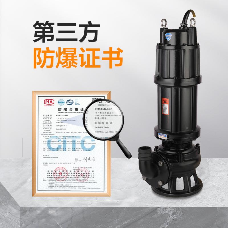 BWQ防爆潜水泵厂家TWI带爆证 防矿用隔潜水排型沙防爆爆潜水排污