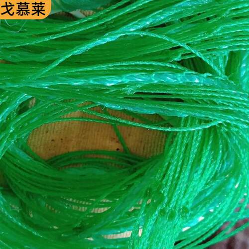 植爬藤架 瓜果植物黄瓜豆网角种植网  尼物龙 爬藤菊APB花网