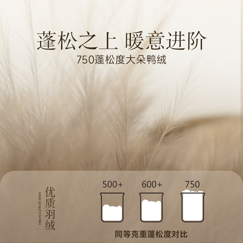 亚朵星球0鸭绒被春秋被冬被加厚保暖羽绒被学生宿舍被子被芯