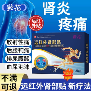 肾炎舒贴血尿蛋白尿肿腰腹酸胀痛肾小球穴位膏贴肾囊肿药监备案RW