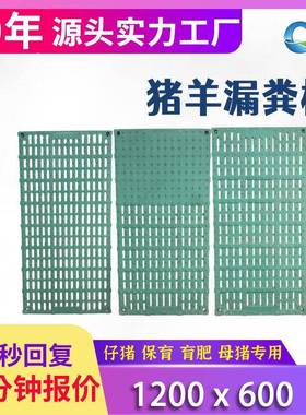 母猪漏粪板1200x600产床地板保育养殖场猪圈半漏全漏复合母猪板