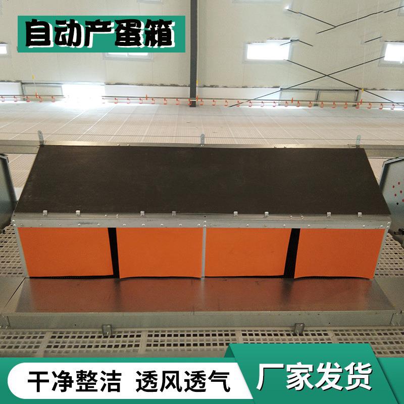 鸡舍用产蛋箱全自动框架式养鸡设备种鸡下蛋用省人工自动产蛋箱