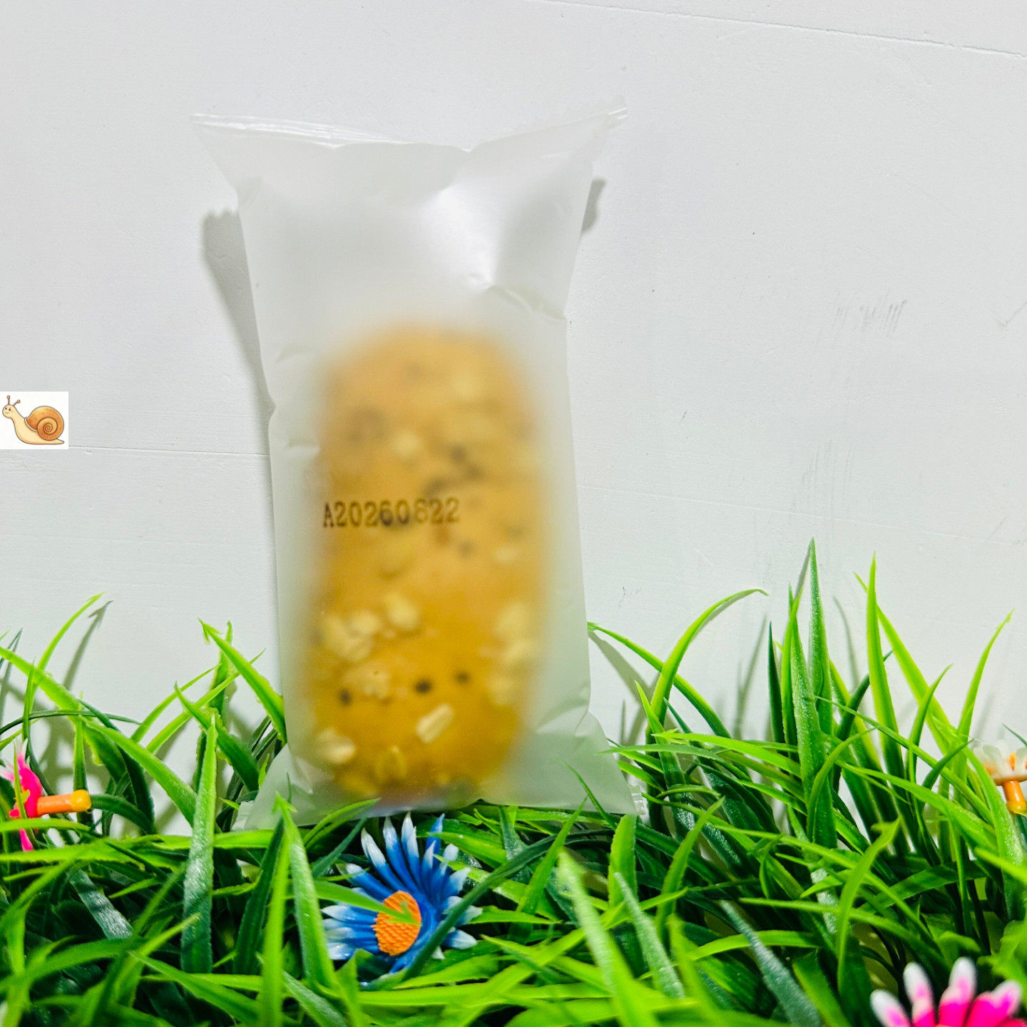 【严选】糖尿人专用零食无糖精杂粮奶酪面包血糖高糖友控糖专用食