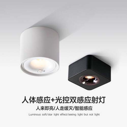 w%人体感应灯吸顶式led天花灯入户门口玄关感应过道灯人身体感应