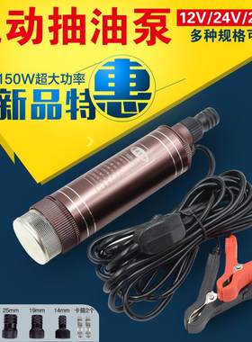12V抽油泵大功率抽水泵电动柴油泵24V小型微型潜水220v自吸抽酒泵