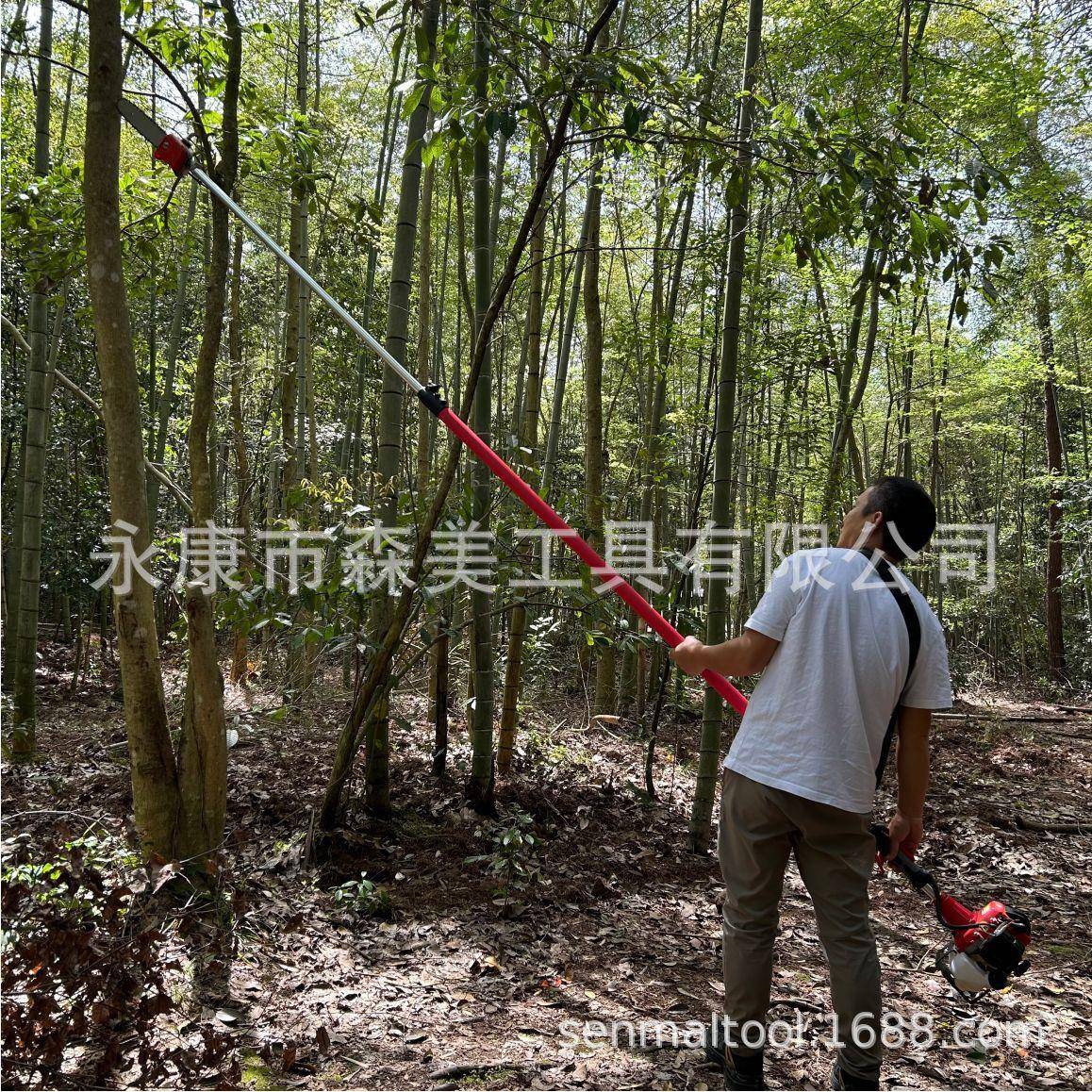 厂家-.米汽油机可伸缩棕榈机椰树修整伐木锯高枝锯