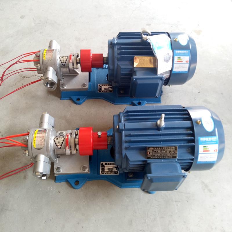 BW电加热不锈钢齿轮泵厂家DN25进出口管道泵220V加热保温泵