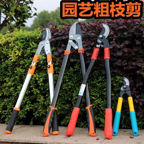 进口修枝剪粗枝剪 伸缩大力剪高枝剪 树枝剪果树剪 园艺园林工具