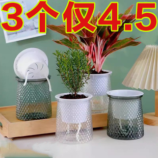 水培器皿透明花盆懒人花盆自吸水绿萝水培多肉盆栽绿植物兰花油画