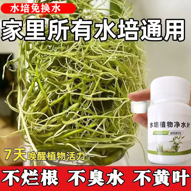 水培免换水培植物营养液除臭杀菌消毒剂荷花泉碗睡莲净化水质通用,鲜花速递/花卉仿真/绿植园艺,家庭园艺肥料,淘宝优惠券,粉丝福利购,淘宝优惠卷