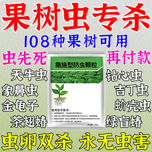 果树杀虫专用药天牛克星树洞虫杀虫颗粒天牛幼虫钻心虫涂白杀虫剂