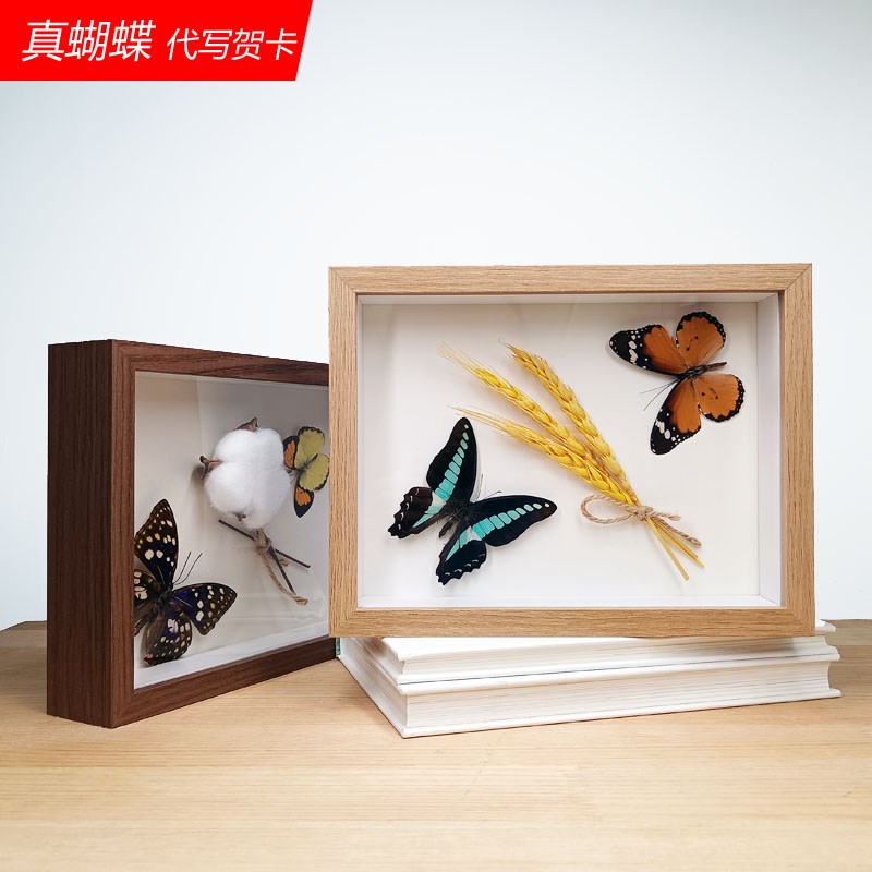 真蝴蝶标本摆件植物相框客厅家居儿童房装饰画创意工艺.品生日礼图片