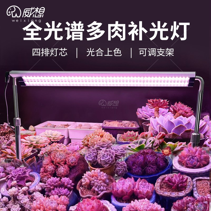 全光谱多肉补e光灯家用上色仿太阳室内LED热植绿植专用植物生长灯