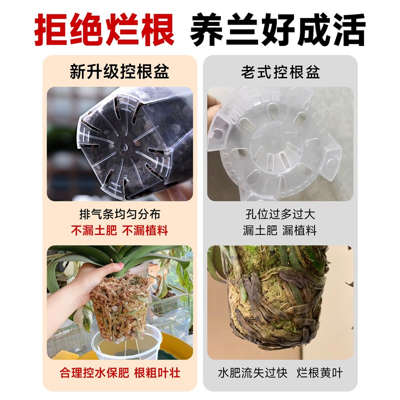 现货速发蝴蝶兰花盆兰花透明青山三代塑料控根盆家用台大口径树脂