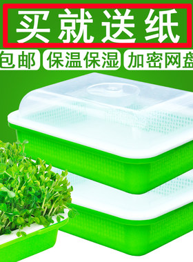 发芽盆神器豆芽育苗盆芽苗菜育苗盘小麦种子水培种菜豌豆苗催芽盒