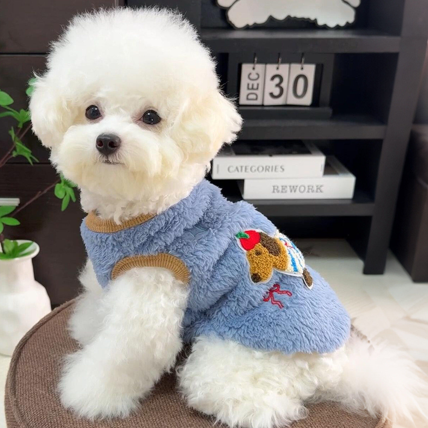 可爱腊肠小狗宠物衣服加厚珊瑚绒猫咪保暖衣外出御寒泰迪狗狗衣服