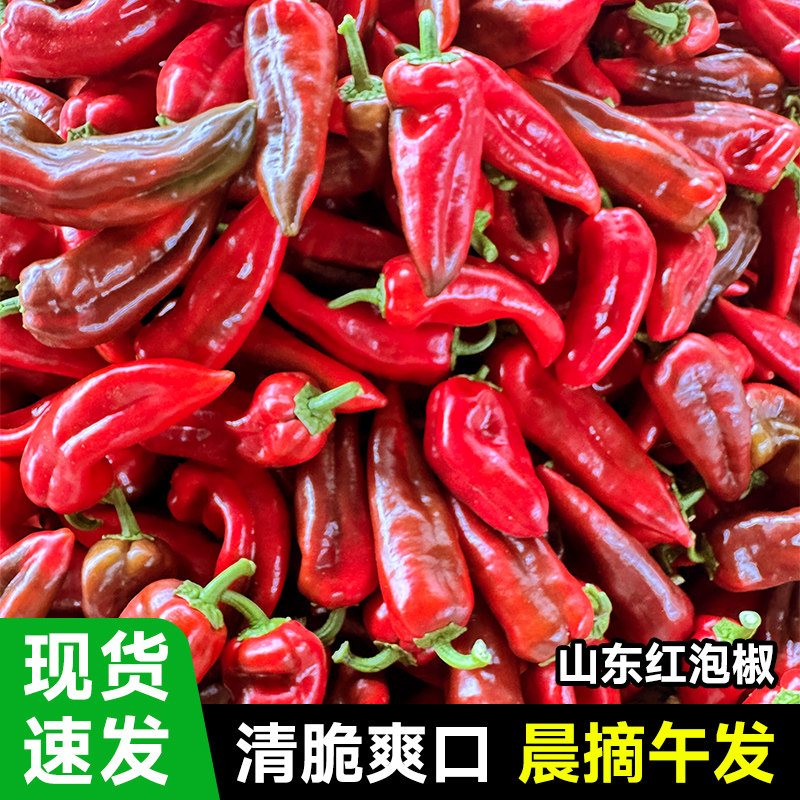 红辣椒新鲜农家自种本地应季蔬菜5斤辣椒酱肉厚尖椒红剁椒红泡椒