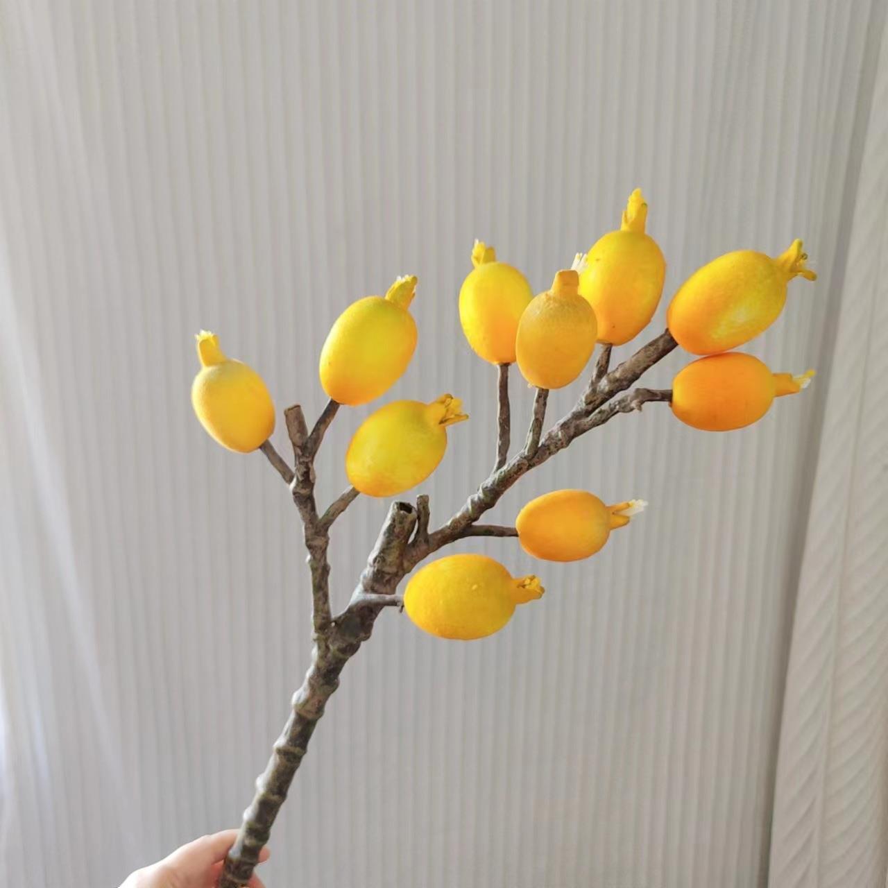 仿真奶果大枝枇杷果布置影视拍摄道具仿真植物果子黄色