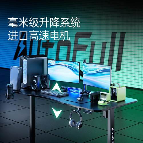 傲风 A4单桌【毫米级升降进口实木芯】升降电竞桌 电脑桌AFA403