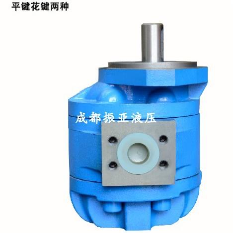液压齿轮油泵CBG-F2040/CBG-F2050/2063/CBG-F2080/CBG-F2100-BFP