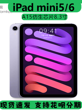 Apple/苹果 iPad mini (第六代) 无线局域网机型mini5/6平板电脑