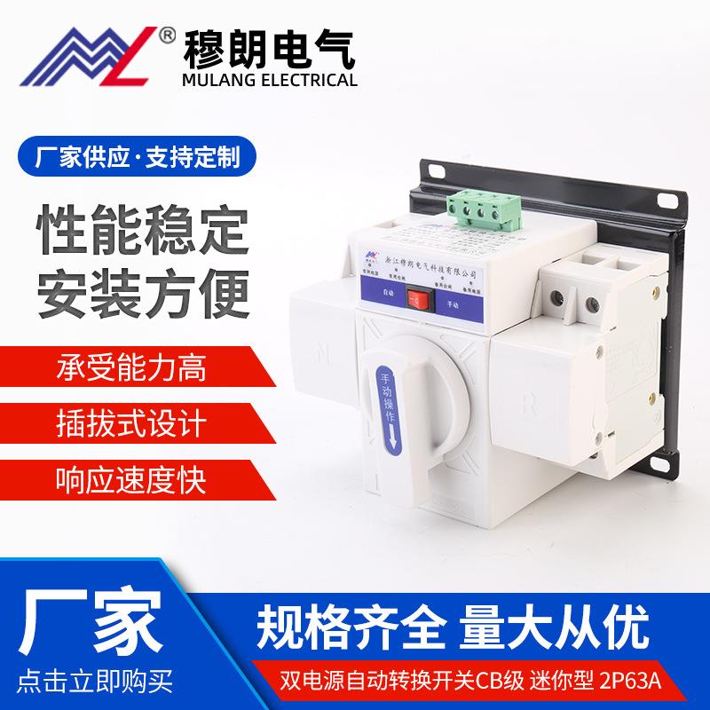 双电源自动转换开关CB级迷你型MLQ2-2P63A自动切换开关