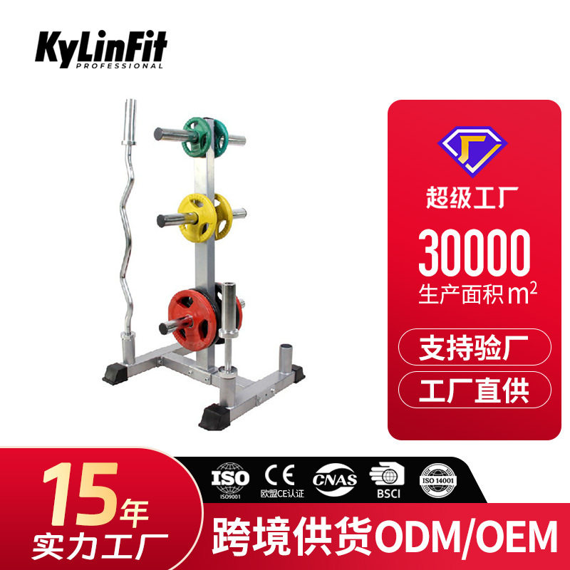 杠铃片哑铃架子健身健身器材存放架家用杠铃杆收纳架