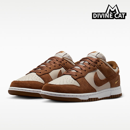 Nike/耐克正品Dunk女士舒适贴合低帮运动休闲板鞋IO4244-200