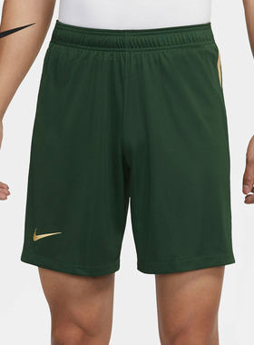 Nike/耐克正品北京国安主场球迷版短裤新款男短裤DB5788-377