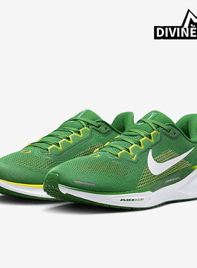 Nike/耐克正品Pegasus 41男士低帮运动减震耐磨跑步鞋FZ5138-300