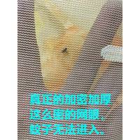 老Y^加密蚊帳夏天用雙人防塵單開門家式./.米廷F9656758宮落地厚