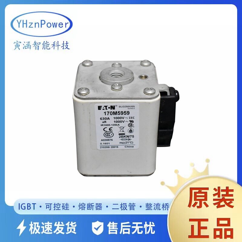 170M5960-170M5969熔断器