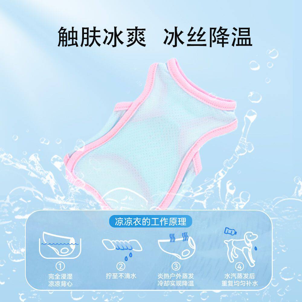 幼猫衣服猫咪小奶猫夏季凉凉衣