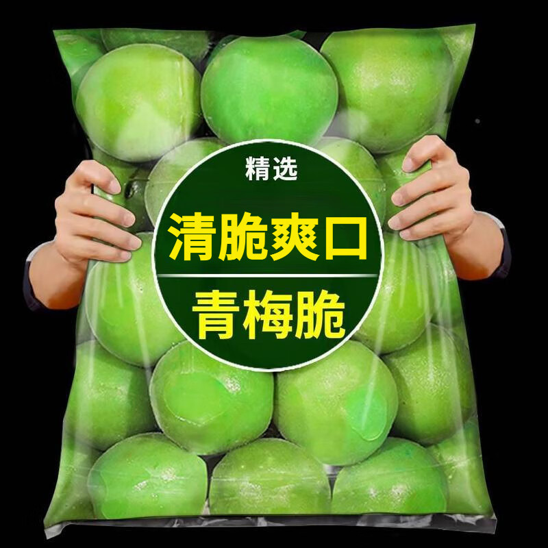 青梅脆爽口散装高品质酸脆凉果水果蜜饯果脯酸梅子可口原材料零食