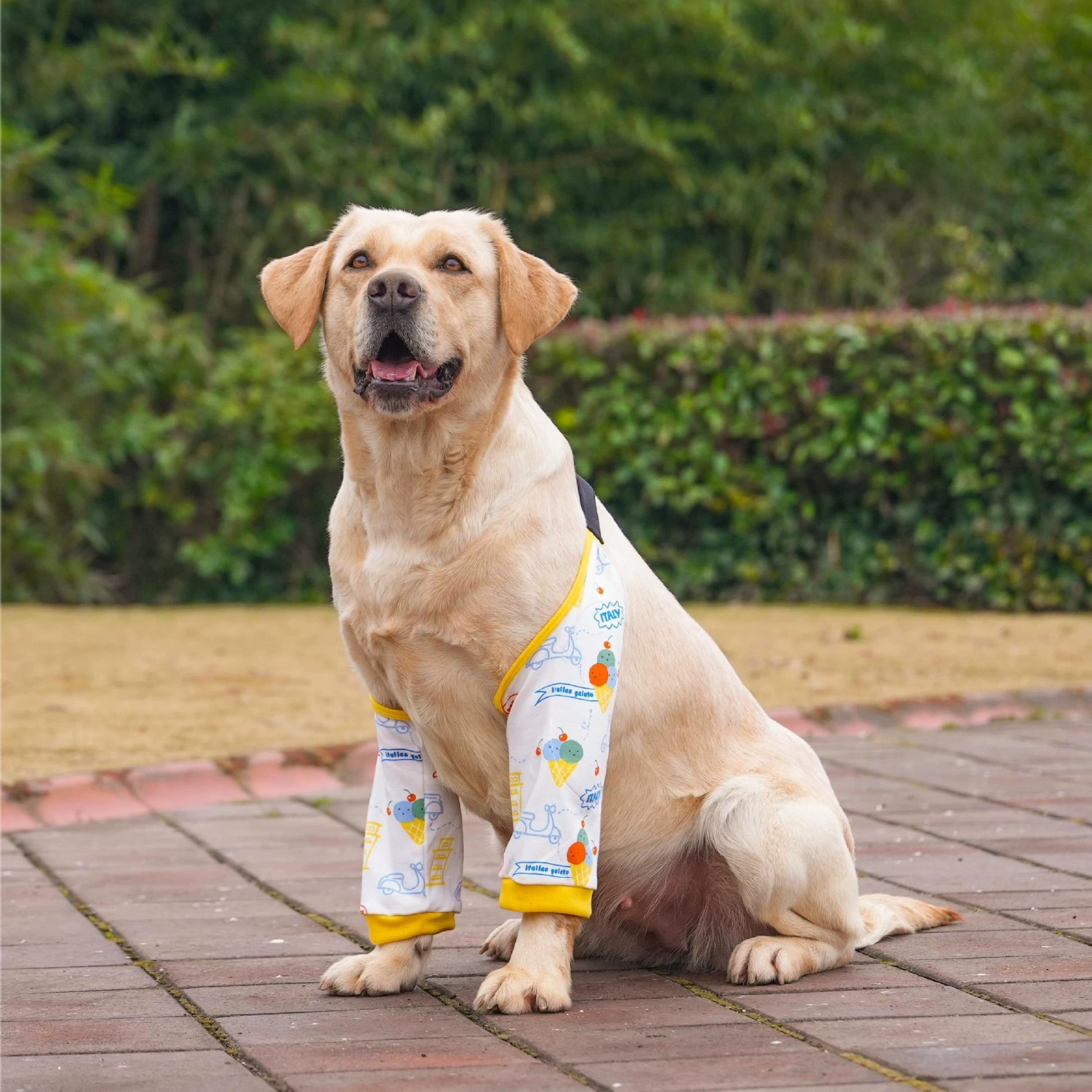 宠物衣服狗狗护膝德牧关节护腿套