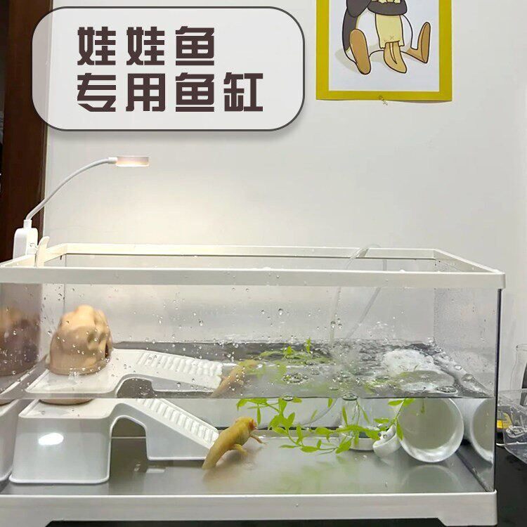 六角恐龙鱼缸龙娃娃鱼专用缸乌龟缸饲养缸带晒台过滤生态造景缸